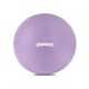 Zipro Piłka gimnastyczna Anti-Burst 65 cm fioletowa