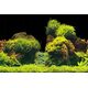 Aqua Nova AQUA NOVA BACKGROUND L 100/50 ROCK/PLANTS 7914532 5903031442779