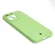 Bizon Case Silicone Apple iPhone 15 Pro Max light green
