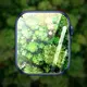 Bizon Glass Hydrogel Apple Watch 8/7 45mm [2 PACK]