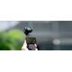 Filtr Kf Filtr Dyfuzyjny Hd Black Diffusion 1/4 K&f Concept Do Dji Osmo Pocket 3 / Kf01.2533