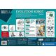 Clementoni TOY EVOLUTION ROBOT 2.0 61387