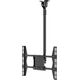 Hagor Uchwyt sufitowy HAG8602 49'' - 65''