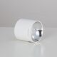 Lampa sufitowa Blaupunkt Blaupunkt Lampa LED natynkowa Spot Roller 10W biały barwa ciepła