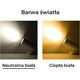 Lampa sufitowa Blaupunkt Reflektor BLAUPUNKT DRNW-12NW 12W