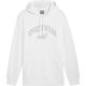 Puma Bluza męska Puma Ess  Logo LAB Gradient Hoodie FL biała 681775 02 M