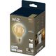 Signify WiZ Filament 50W E27 Globeform G95 Amber Einzelpack.