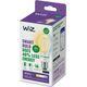 Signify WiZ White 60W E27 A60 Standard Filament clear Tunable Einzelp.