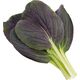 Click And Grow Click & Grow Smart Garden ανταλλακτικό Punane Bok Choy 3 τεμ 13927315 4742793009254