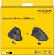 Delock Mouse Delock Ergonomische vertikal optische 5-Tasten Maus 2,4 GHz kabellos - Lautlos 13929677 4043619126224