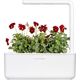 Click And Grow Click & Grow Smart Garden Refill Red Pansy 3 τεμ 13927265 4742793001487