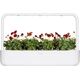 Click And Grow Click & Grow Smart Garden Refill Red Pansy 3 τεμ 13927265 4742793001487