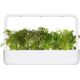 Click And Grow Click & Grow Smart Garden ανταλλακτικό Red Frill Mustard 3 τεμ 13927271 4742793001722