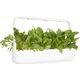 Click And Grow Click & Grow Smart Garden refill Green Chard 3 τεμ 13927310 4742793009339