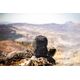 Lowepro backpack ProTactic BP 350 AW III