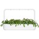 Click And Grow Click & Grow Smart Garden αναπλήρωση Shungiku 3 τεμ 13927266 4742793002293