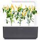 Click And Grow Click & Grow Smart Garden refill Yellow Chili 3 τεμ 13927314 4742793009186