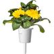 Click And Grow Click & Grow Smart Refill Marigold 3 τεμ 13927287 4742793003160