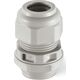 Scame Gland DW-36 (PG) 805.3347 Scame 13474998 8001636016542