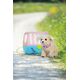BABY BORN interactive dog with a box