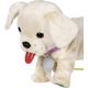 BABY BORN interactive dog with a box