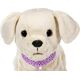 BABY BORN interactive dog with a box