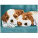 DIAMOND DOTZ Διαμαντένιο κέντημα Diamond Dotz Diamond μωσαϊκό Little Champs Two puppies 43x33cm DQK8014 13914742 4895225918270