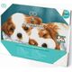 DIAMOND DOTZ Διαμαντένιο κέντημα Diamond Dotz Diamond μωσαϊκό Little Champs Two puppies 43x33cm DQK8014 13914742 4895225918270