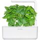 Click And Grow Click & Grow Smart Garden αναπλήρωση Βασιλικού Μασσαλίας 3 τεμ 13927294 4742793003986