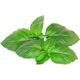 Click And Grow Click & Grow Smart Garden αναπλήρωση Βασιλικού Μασσαλίας 3 τεμ 13927294 4742793003986