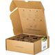 Click And Grow Click & Grow Plant Pod Calming Tea Mix 9 τεμ 13927278 4742793002507