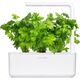 Click And Grow Click & Grow Smart Garden Refill Leaf Celery 3 τεμ 13927284 4742793003948