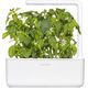 Click And Grow Click & Grow Smart Garden refill Lime Basil 3 τεμ 13927296 4742793004006