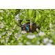 Gardena GARDENA MICRODRIP DRYPHOVED 2 L/T 13802412 4078500000000
