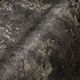 WALLPAPER 388234 NATURAL BOS