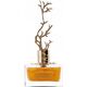 Aurora Aurora, Deciduous Summer, Eau De Parfum, για γυναίκες, 100 ml για γυναίκες 14126727 6290360540283