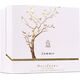 Aurora Aurora, Deciduous Summer, Eau De Parfum, για γυναίκες, 100 ml για γυναίκες 14126727 6290360540283