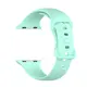 Bizon Strap Watch Silicone Apple Watch 38/40/41/42 mm mint