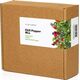 Click And Grow Click & Grow Plant Pod Μίγμα πιπεριών τσίλι 9 τεμ 13927280 4742793002521