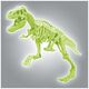 Clementoni Clementoni, Science & Play, Archeofun T-Rex, Puzzle, 61243, For Boys, 7+ years For Boys 13276618 8005125612437