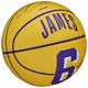 Wilson Wilson NBA Player Icon Stephen Curry Mini Ball WZ4007401XB białe 3