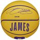 Wilson Wilson NBA Player Icon Stephen Curry Mini Ball WZ4007401XB białe 3