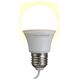 Esperanza Żarówka LED Esperanza ELL170 USB 5W