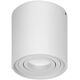 Lampa sufitowa Orno CAROLIN DLR GU10 downlight max 35W, IP20, okrągły, biały