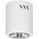 Lampa sufitowa Orno KORIN 13, oprawa typu downlight, 60W, E27, stal, biała