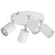 Lampa sufitowa Orno Rino SP 4, oprawa ścienno-sufitowa, GU10 max. 4x50W, IP20, biała