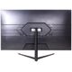 Ernitec 32'' Surveillance monitor for