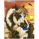 DIAMOND DOTZ Διαμαντένιο κέντημα Diamond Dotz Spotted horse 43,5x54cm DD9035 13913004 4897073246192