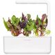Click And Grow Click & Grow Smart Refill Rainbow Chard 3 τεμ 13927285 4742793003184
