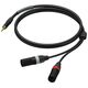 Καλώδιο Procab Καλώδιο PROCAB PRA712/3, 3,5mm (M) στερεοφωνικό βύσμα σε 2x XLR (M) (3m) 14081362 5414795042940